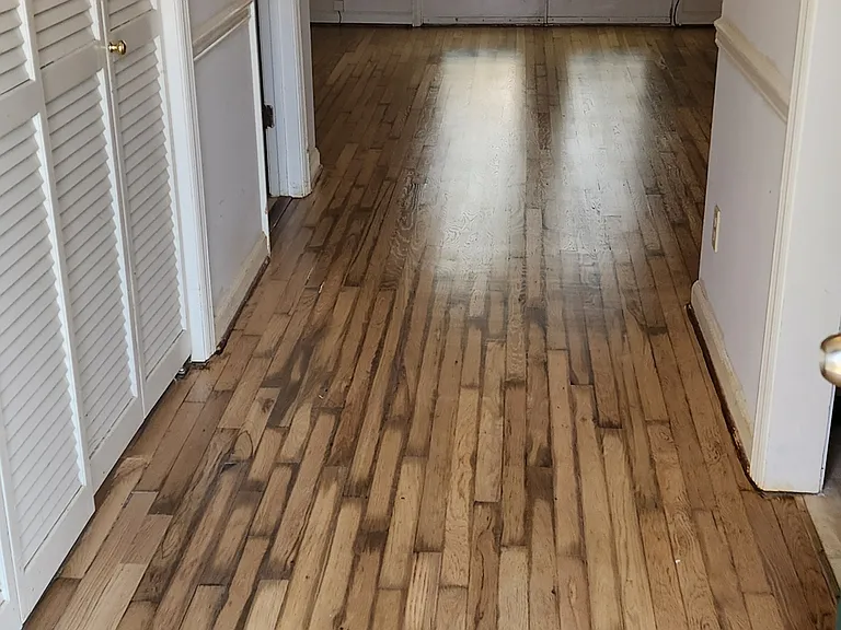 461 Bramblewood Ln — Photo 3