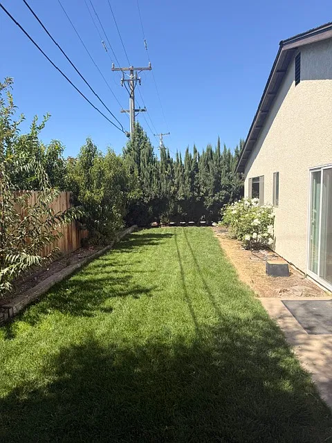 4 bed, 1560 sqft, $4,100 — Photo 3