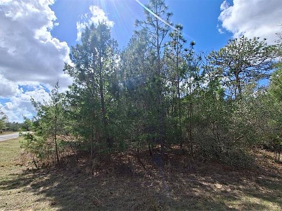4th image of FISHER RUN LOT 6