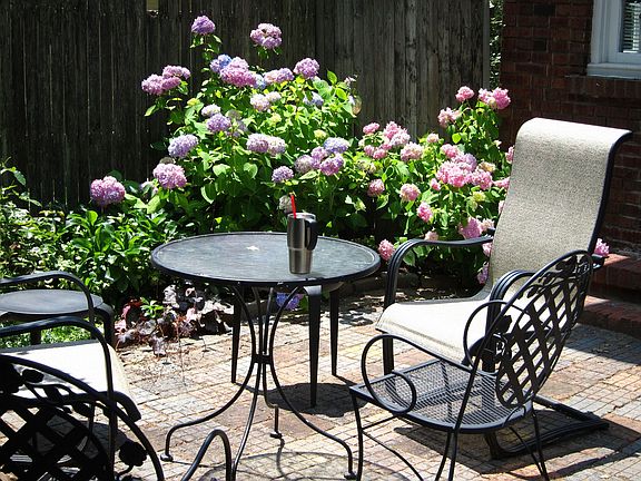 Patio - Endless Summer