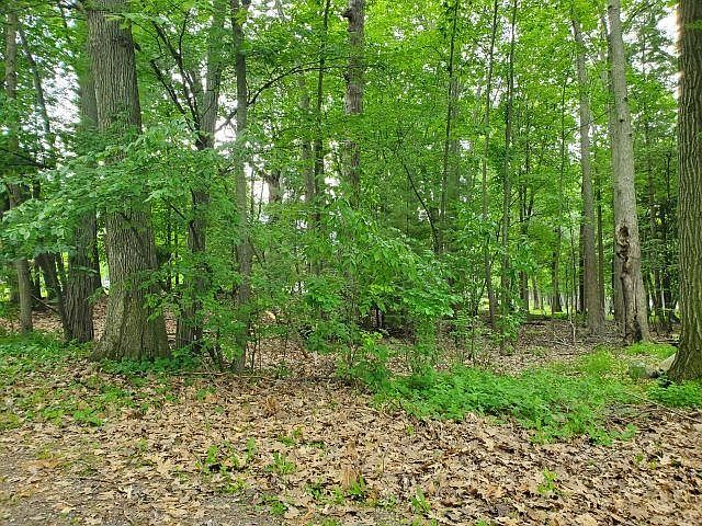 1st image of 0 Timbers Dr