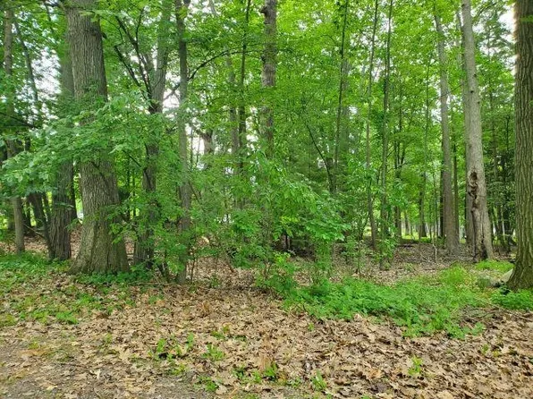 0 Timbers Dr, Houghton Lake, MI 48629