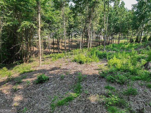 5th image of 2789 Malcom Estates Rdg Lot 28