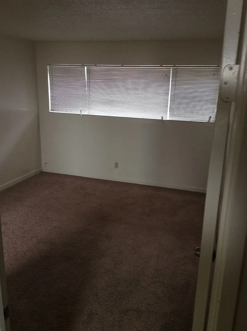 7305 Boris Court — Photo 4