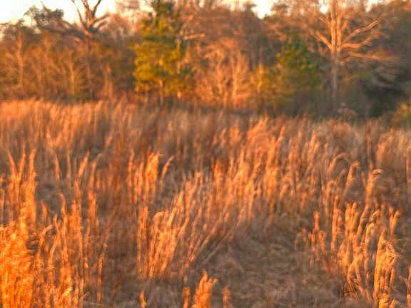 3rd image of 0 Ovelle Lee Rd