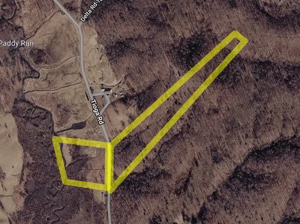 4043 Tioga Rd, Tioga, WV 26691