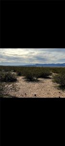 6928 E Concho Circle, Kingman, AZ, 86401