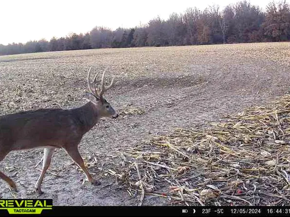 0 Nightingale Rd, Atlanta, MO 63530