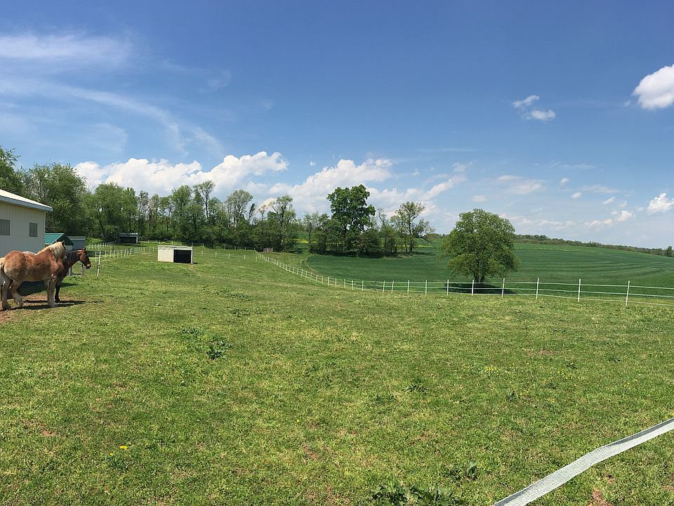 View from the pasture