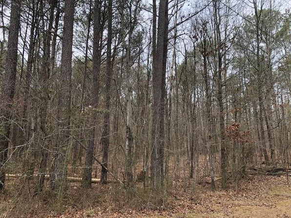 0 Kendrick Rd, Eldridge, AL 35554