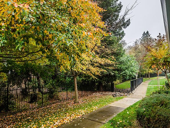 View from the front door 