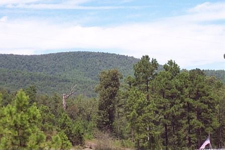 1st image of 3774 Highway 71 N