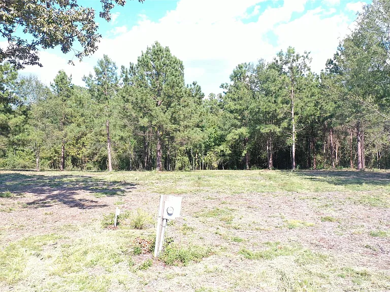 185 S FM 356 W — Photo 17