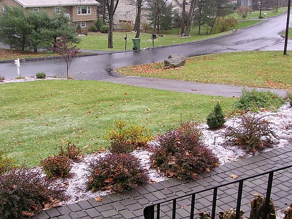 First Snow - picture from front door