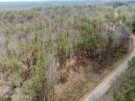 4th image of Wilkins Chapel Rd