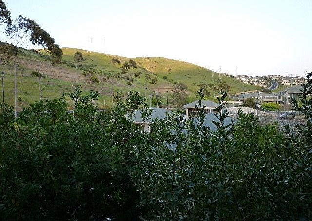 1st image of 123 Swallowtail Ct