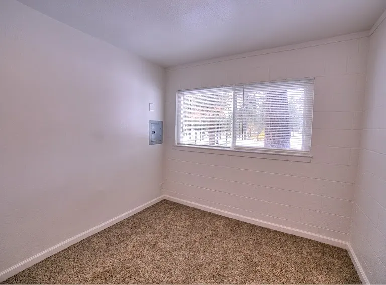 1032 4th St #6 — Photo 3