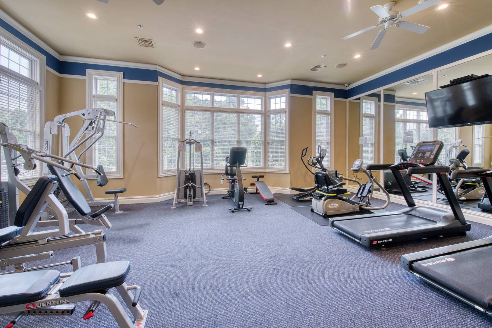  Gym/Exercise Equipment