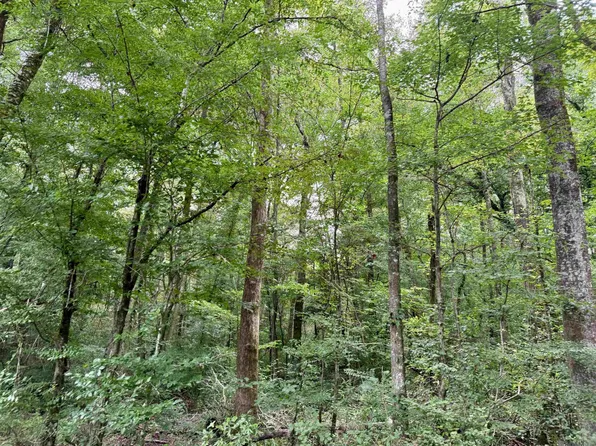 2194 State Highway 570, Summit, MS 39666
