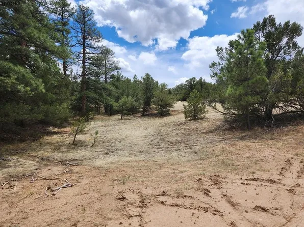 Tbd I Path, Cotopaxi, CO 81223