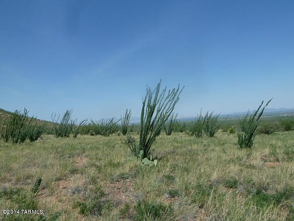 2nd image of 11150 E Camino Aurelia