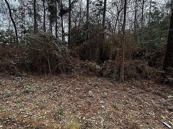 5th image of 0 County Line Rd