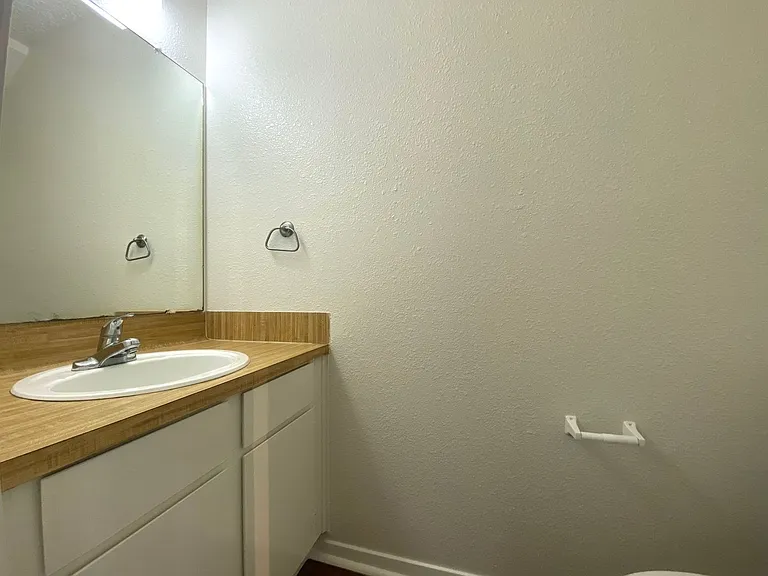 1509 Cinnamon Path — Photo 8