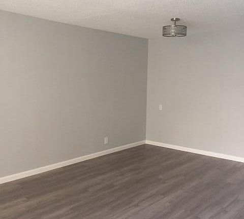 Dining Room and Living Room Combo