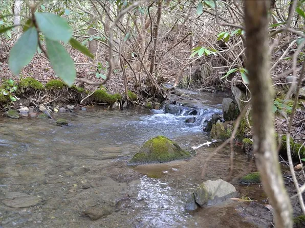 Johnson Cove Rd, Copperhill, TN 37317