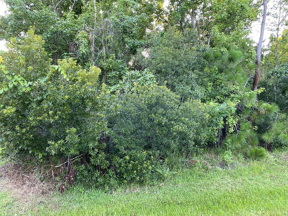 2nd image of 17 Londonderry Dr