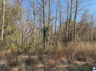 Tbd Pee Dee Island Rd, Nichols, SC 29581