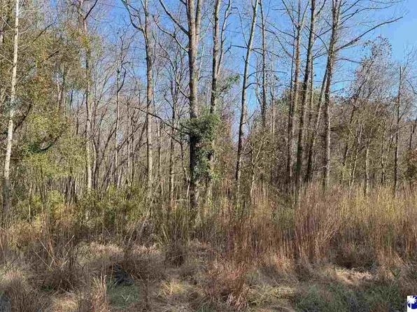 Tbd Pee Dee Island Rd, Nichols, SC 29581