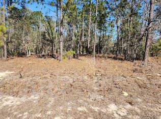 1037 W Almont Pl, Citrus Springs, FL 34434