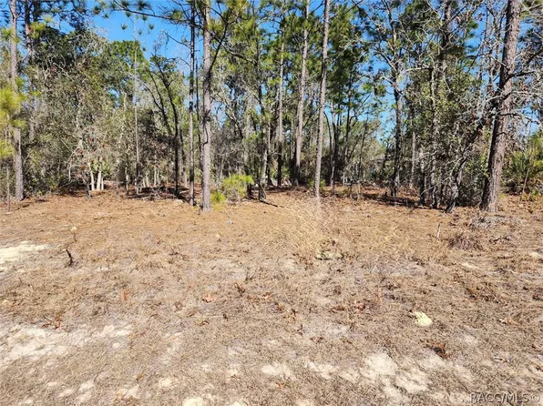 1037 W Almont Pl, Citrus Springs, FL 34434