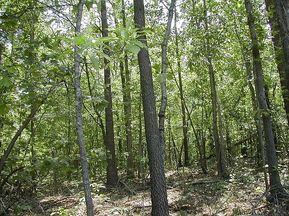 5  Acres..Growth Area