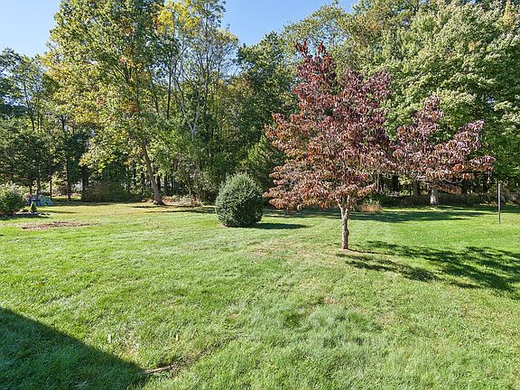 Expansive backyard