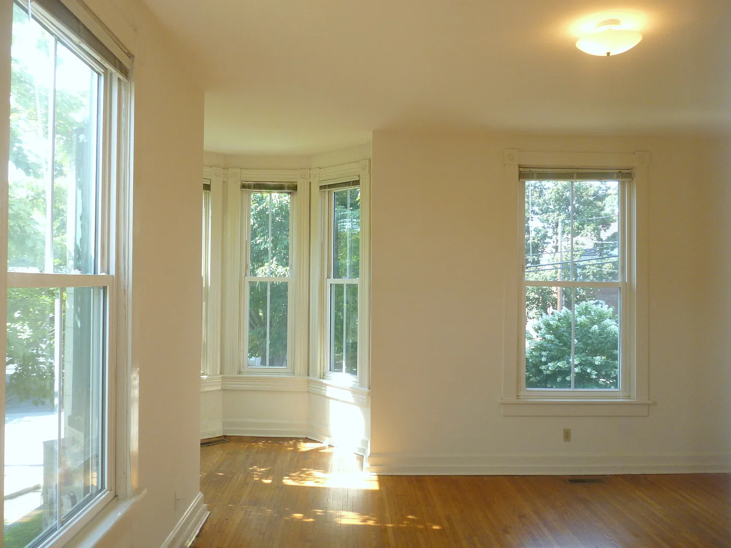 1107 Wertland Street — Photo 1