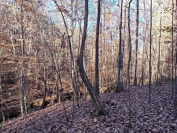 2nd image of 0 Blackjack Rd #0