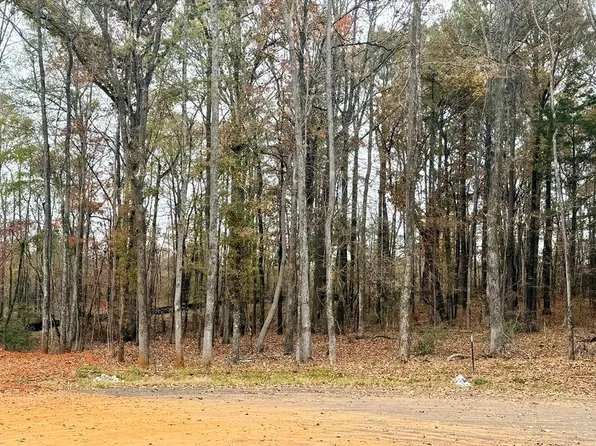 66 Rolling Meadows Way, Waverly Hall, GA 31831