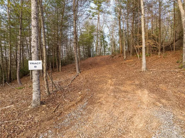 Township Road B East New Hope Rd, Ellijay, GA 30536