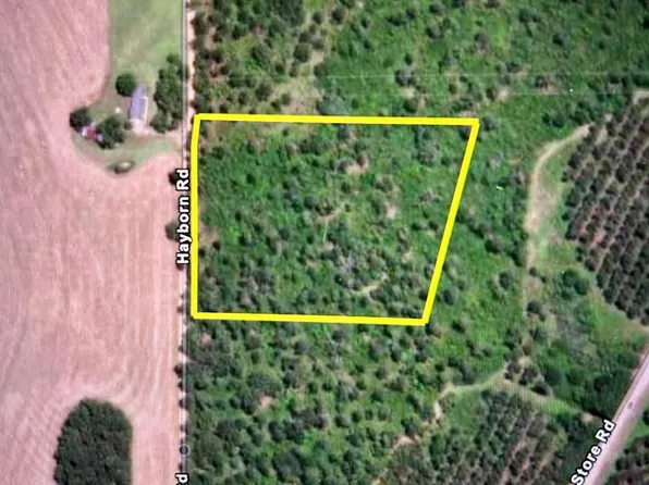 7.4 Hayborn Rd, Webb, AL 36376