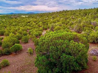 County Rd N, Vernon, AZ 85940