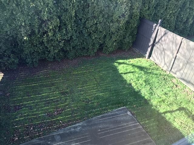 View of the fenced backyard from the 2nd floor