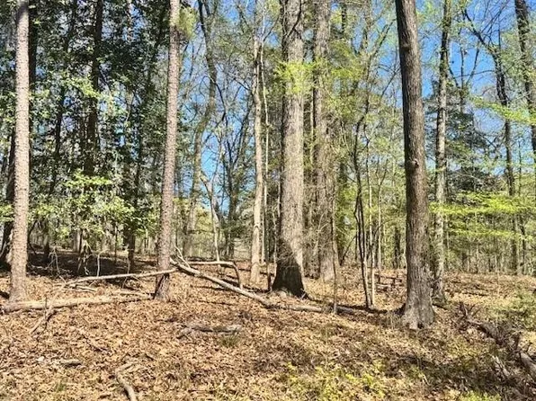 15 Elm Dr, Etoile, TX 75944