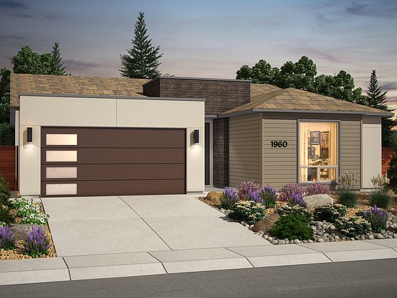 American Contemporary - Scheme 5