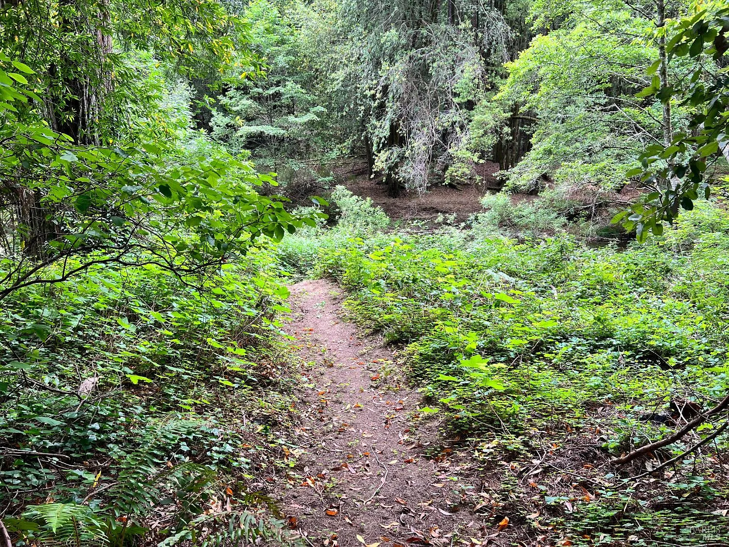 475 E Austin Creek Road - Photo 4