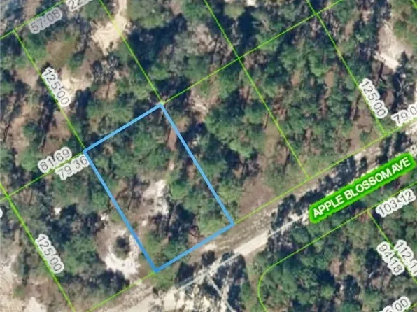 406 Apple Blossom Ave, Lake Placid, FL 33852