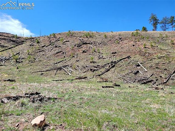3rd image of 14844 Evergreen Pl