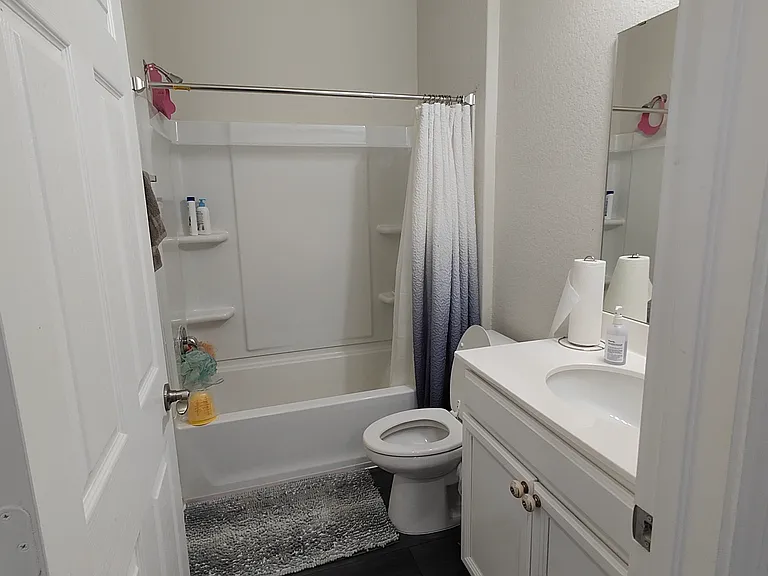 Guest full bath (first floor)