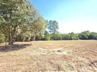 6 Joseph Lemon And Dingle Rd, Manning, SC 29102